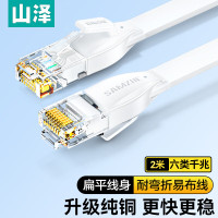 山泽(SAMZHE)BBP602六类扁平网2.00米/根(计价单位:根)白色
