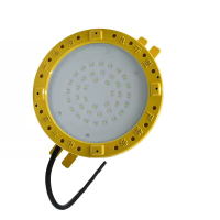 顶火 GMD8181-30W 防爆灯 1.00 盏/个 (计价单位:个) 黄