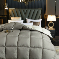 汉司家纺 云逸之羽 羽绒被 180×220cm 6斤 被子 (计价单位:件) 银灰色