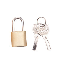 金岳 YXS30MM 30*20*58 蛇形铜挂锁 (计价单位:个)色