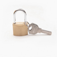 金岳 YXS35MM 35*17.5*56.5 蛇形铜挂锁 (计价单位:个)色