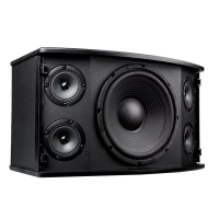 启诺(QN) QN-K310全频专用 音箱 1.00 个/台 (计价单位:台) 黑色