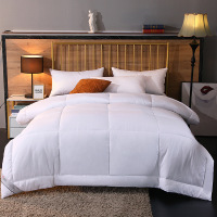 三极户外(Tri-Polar) TP2877 可水洗整张羽丝棉冬被被芯 2*2.3m/6.8斤 被子 1.00