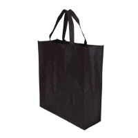 地造天成 WFBSTD100 长33cm*宽10.5cm*高44cm 无扣手提袋 无纺布手提袋 (计价单位:个) 黑色
