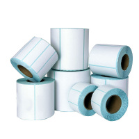 地造天成 JYDBQ120 字迹保存年限:1.3年 耐高温58℃ 25*75mm 打印标签纸 200片/卷 1卷 白色