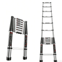 地造天成 JYSST110 伸长4.4米收缩高度0.93m 步距40cm 防滑稳固铝合金伸缩梯 1把