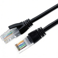 地造天成 JYWX120 线长10m 五类成品网线 1卷 黑色