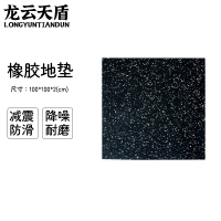 龙云天盾健身房地垫运动地胶垫室内减震防滑健身地垫环保隔音橡胶地垫100*100*2CM 黑白