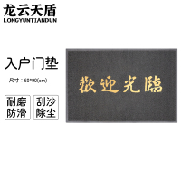龙云天盾门口地垫欢迎光临入户门进门加厚防滑垫脚垫丝圈迎宾防滑垫60*90CM灰色