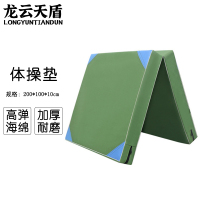 龙云天盾体操垫体育训练折叠加厚帆布仰卧起坐垫跳高垫两折款训练防护垫体操垫200*100*10CM