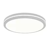 讯博士 XDD110 冷白 LED吸顶灯 (计价单位:个) 白色