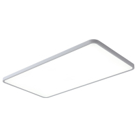 讯博士 XDD120 冷白 LED吸顶灯 (计价单位:个) 白色