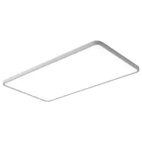 讯博士 XDD120 冷白 LED吸顶灯 (计价单位:个) 白色