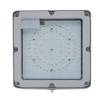 讯博士 LEDPTD120 IP66 220V 冷白 LED LED平台灯 (计价单位:个) 银色