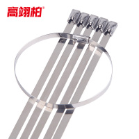 高翊柏 12120180 不锈钢扎带 4.6*1000mm 304材质 100条/包 收紧室外船用捆绑钢条扎丝