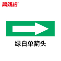 高翊柏 10020272 管道标识贴纸 2x8cm 绿白单箭头[10张]反光膜消防化工流向介质警示贴标示标签箭头贴
