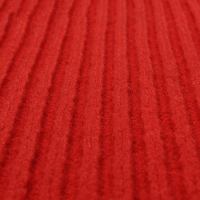 高翊柏 32010222 PVC双条纹地毯 大红色 宽1.2米*1米 复合地毯地垫 防尘防水进门垫 除尘防滑地垫