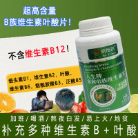 奈施尔人生牌高含量复合多种B族维生素片60片男女成人中老年人抽烟喝酒熬夜皮肤油多者补充代谢维生素B1B2B6烟酰胺叶酸片