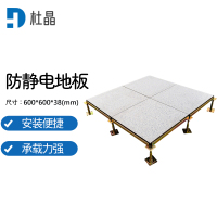 杜晶 DJ-LDB-38小兰花防静电陶瓷架空地板600*600*38防静电地板一平方