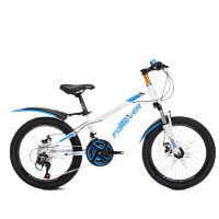 永久牌山地自行车20寸变速男女儿童学生青少年TSZ 蓝色