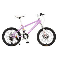 永久牌山地自行车20寸 变速男女孩中学生青少年越野 P8 紫色