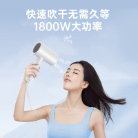 康夫负离子吹风机 负离子护发 家用大功率发廊发型师专用便携手柄可折叠理发店吹风筒 KF-3140