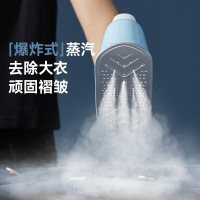 大宇(DAEWOO)手持挂烫机便携熨斗蒸汽电熨斗HI-042-NTB白色