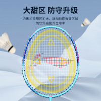 李宁(LI-NING) 羽毛球拍雷霆9 新手入门优选3U 单拍(已穿线)AYPT137-1 蓝色