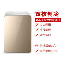 先科(SAST) 22L迷你小冰箱双制冷车载微小型宿舍二人世界 车家两用单门式 双核数显金色玻璃门