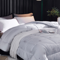 天琴 TQ-B075石墨烯轻奢被秋冬加厚双人被家纺被子