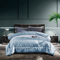 天琴 时尚巴黎被子家纺双人被秋冬加厚保暖TQ-B070