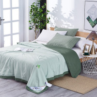 天琴 时尚巴黎被子夏凉被水洗被空调被TQ-B073
