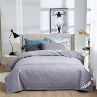 天琴 被子棉被空调被水洗被夏凉被TQ-B065