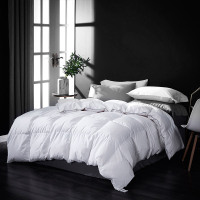 天琴TQ-B028臻品羽绒被秋冬加厚保暖双人被家纺被子