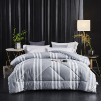 天琴 TQ-B071返璞麻冬被简约冬被秋冬加厚保暖双人被家纺被子