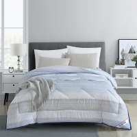 天琴 TQ-B069风尚保暖被双人被秋冬