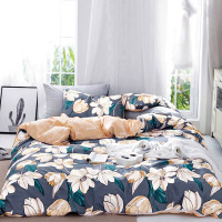 天琴 TQ-T123花漾年华云朵棉四件套双人斜纹印花套件床上用品