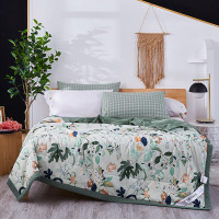 天琴TQ-B074绿野仙踪-银离子抗菌夏被