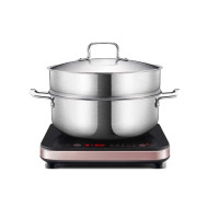 苏泊尔(SUPOR)电磁炉套装家用电磁灶火锅炉 微晶面板 智能定时C21-IC20