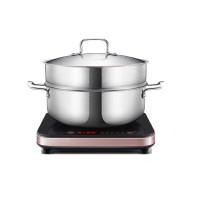 苏泊尔(SUPOR)电磁炉套装家用电磁灶火锅炉微晶面板智能定时C21-IC20