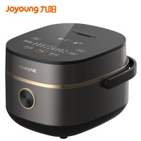 九阳 Joyoung 电饭煲 铜釜内胆2L家用小容量电饭锅 预约触摸式智能控制 F-20FY1