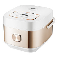BLAUPUNKT 智能电饭煲米汤分离家用4L多功能BP-DFB40X5