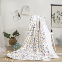 天琴 冰丝被TQ-B056空调被200*230cm