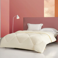 博洋家纺(BEYOND HOME TEXTILE)大豆纤维四季被被芯盖被