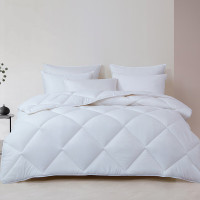 梦洁家纺羽丝绒双人春秋被被芯200*230cm1010289628AM039