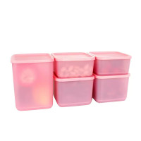 特百惠(Tupperware)新冷藏方形套装5件套 密封不串味收纳盒冰箱冷藏保鲜盒