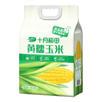 十月稻田黄糯玉米东北甜糯玉米棒 真空包装(220克*8)共1.76kg