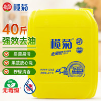 榄菊 强效除油洗洁精 20KG/桶(单位:桶)