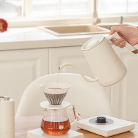 泰摩(TIMEMORE) 栗子C3礼盒 标准版哑光白 C3