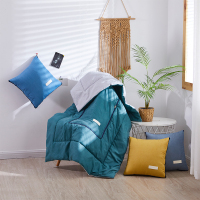 天琴 生态羊绒抱枕被多功能抱枕被TQ-J51